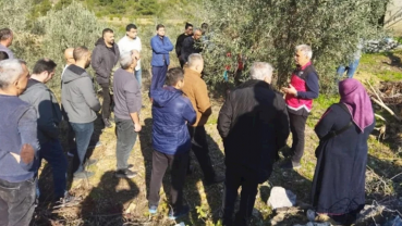 Zeytin Budama Eğitimi Verildi